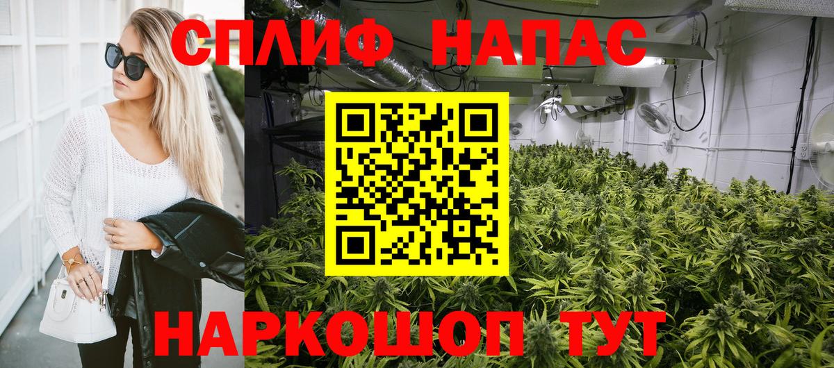 МАРИХУАНА план  Вход с VPN  Бошки Шишки White Widow  Саки  Каннабис индика 